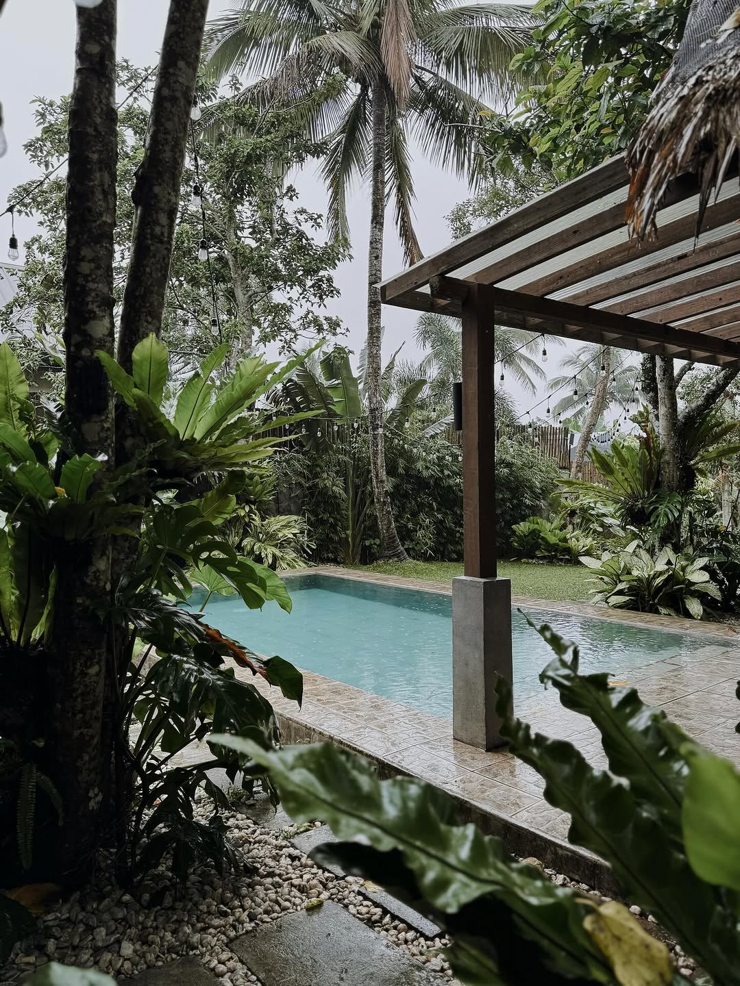 Villa pool with tropical foliage